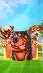 The Dog House