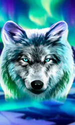 Wolf Fang - Northern Spirits