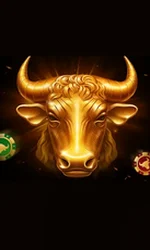 Bull's Club
