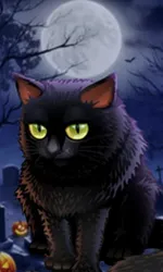 Spooky Halloween